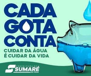 ANÚNCIOS ONLINE – CADA GOTA CONTA – 300 X 250 PX